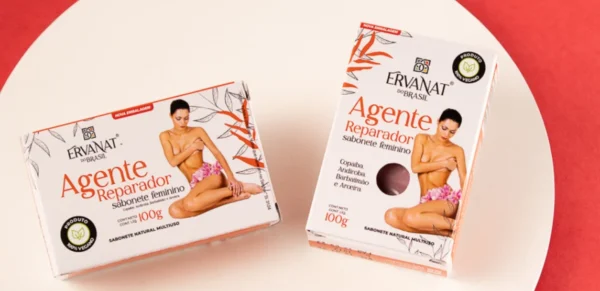 Agente Reparador